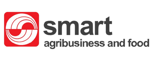 Commercial Campaign Partner Studio