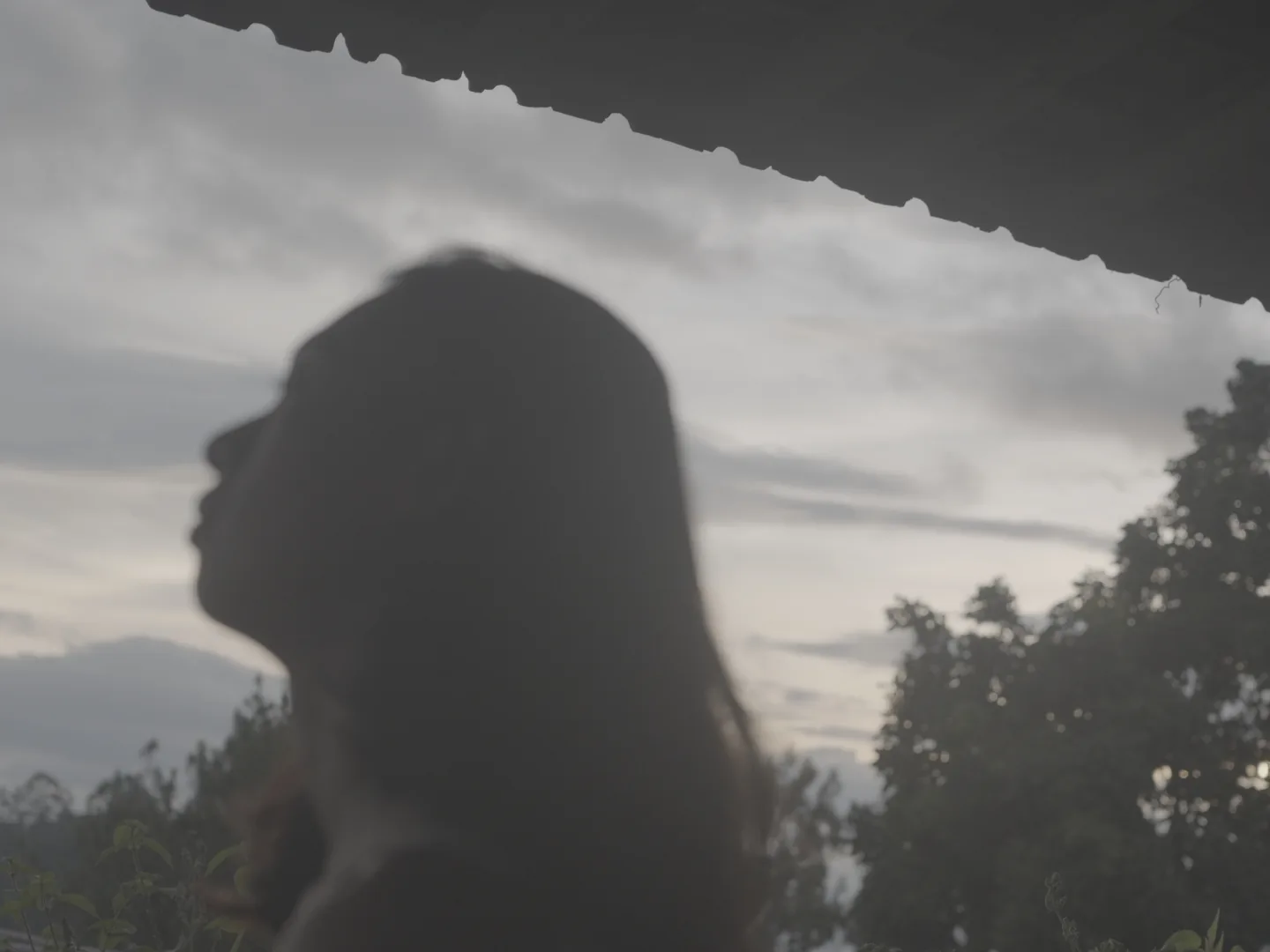 Reni Talia Camera Log