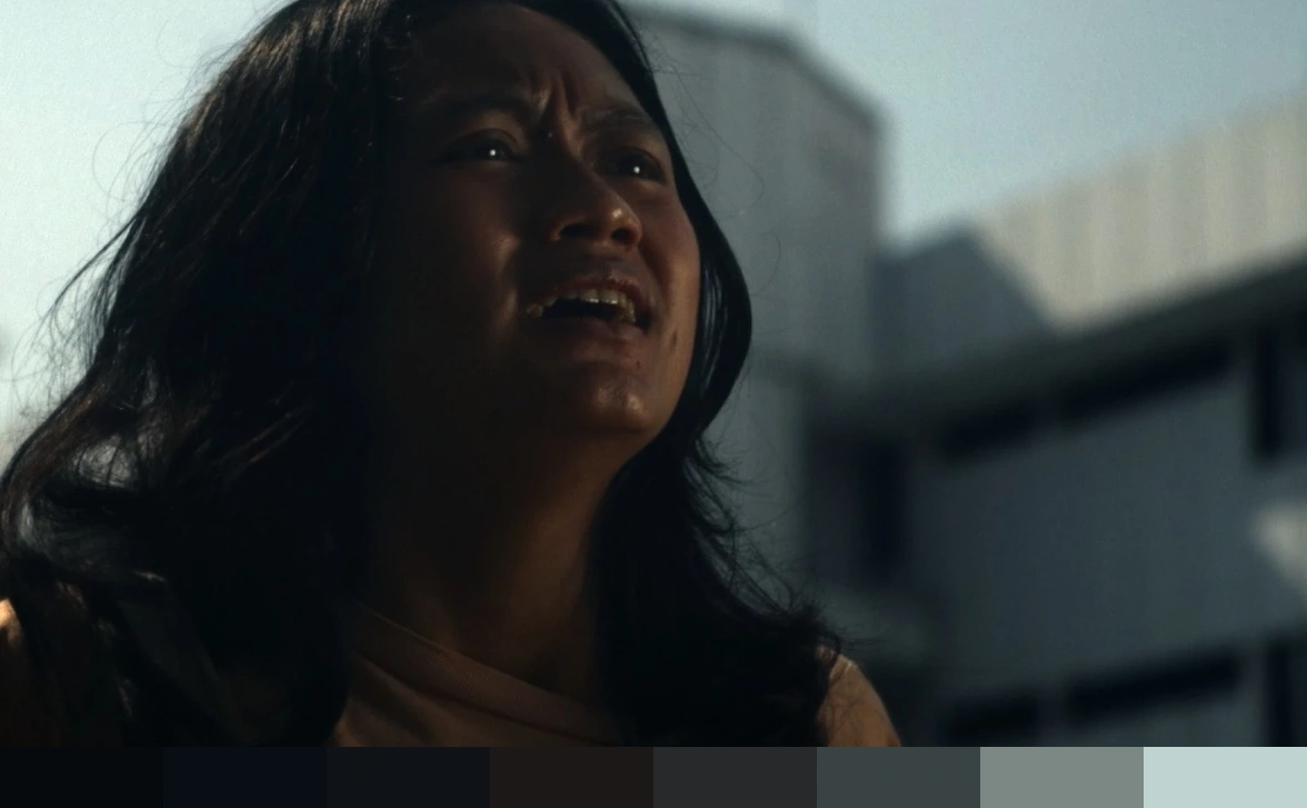 Wagi Frame Palette 1